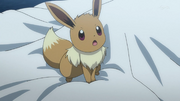 300px-Eevee anime