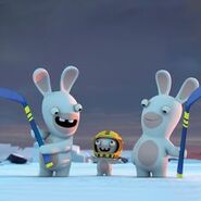 Crash Test Helmet Mini-Rabbid