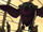 Kiros bird