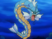 Gyarados