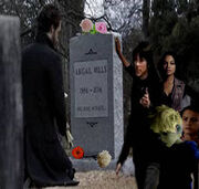 Nevergone