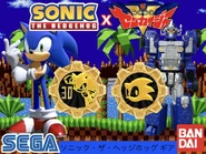 Sonic the Hedgehog 30th Anniversary Gear