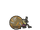 Rellor