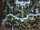 Edenia