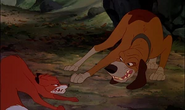 Tod vs Copper