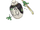 Poltchageist