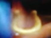 Magical Horseshoe.jpg (24 KB)