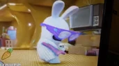 20190423 083920.jpg (3.14 MB) Rock Star Rabbid