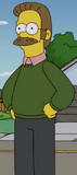 Ned Flanders 2