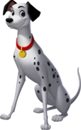 CP Pongo