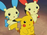Pikachu with Plusle and Minun