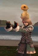 Chocobo Chick Summoner Emote (FFXI)
