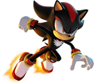 Year of Shadow