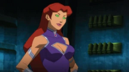 Starfire in the DC animated universe