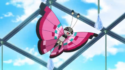 Scatterbug → Spewpa → Vivillon ♀
