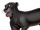 Bagheera