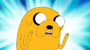Jake The Dog.jpg