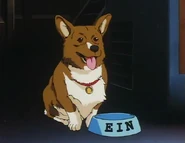 Ein and his bowl