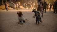 Rocket with Cosmo in Holiday Special