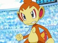 Chimchar