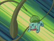 Mio's Bulbasaur uses Vine Whip to stop Ritsu from harassing Mio.