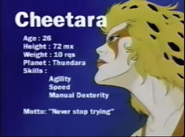 Cheetara's CN card