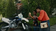 Jpmorgan-chase-three-generations-of-leons-large-4.jpg (90 KB) Zenon's Dirtbike