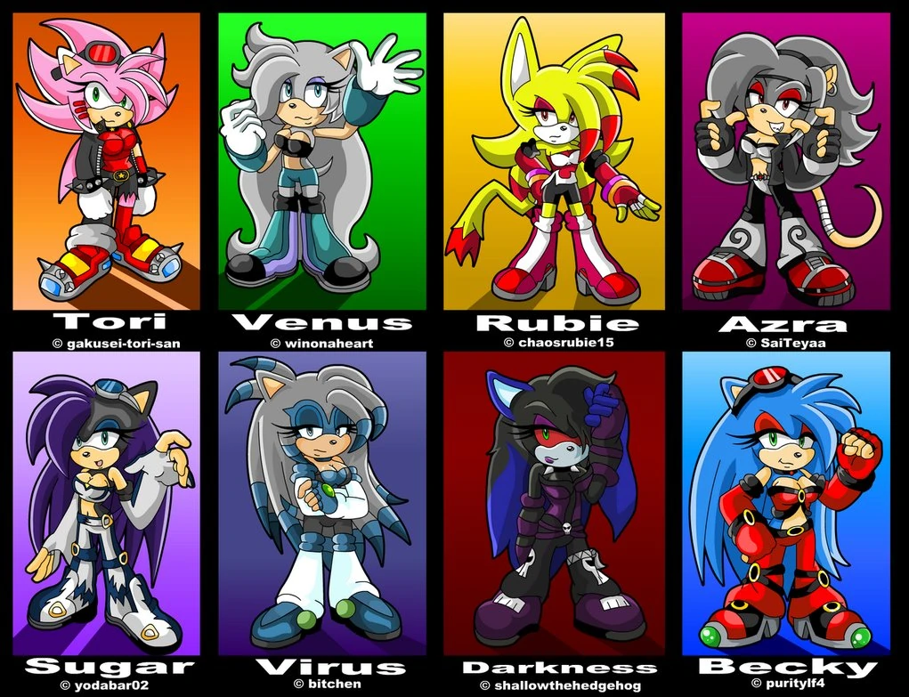 The Female Fighters (Sonic Universe) | Fan Fiction | Fandom, image size:1021x783