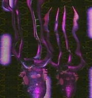Web Probes