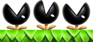 Muncher plant, NSMBU