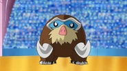 Dawn Mamoswine.png (611 KB) Mamoswine