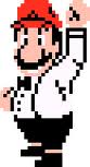 Ref in Punch-Out