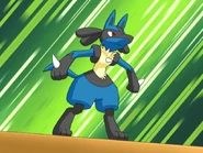 Lucario