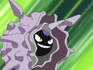 Shellder -> Cloyster