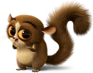 Mouse Lemur
