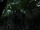 Pandora's Hideout