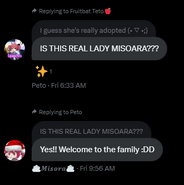 Adoption 3 screenshot provided by @DPacmanx