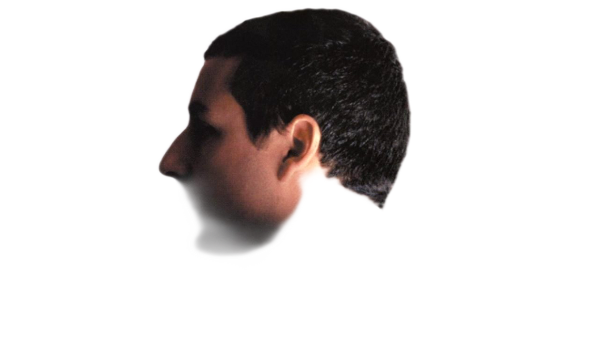 Adam Sandler Fanmade Brands Wiki Fandom