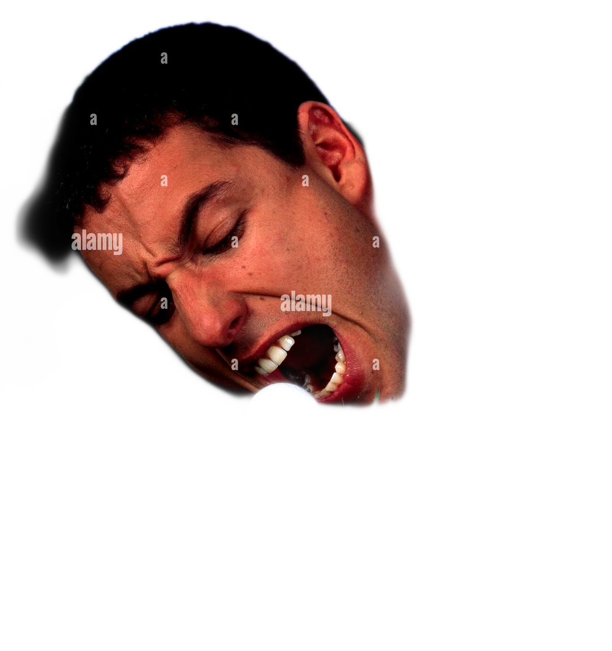 Adam Sandler Fanmade Brands Wiki Fandom