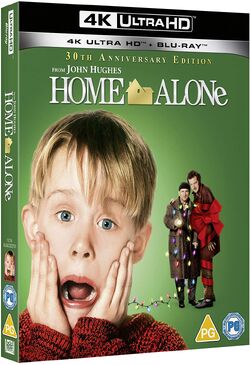 Home Alone Fanmade Films 4 Wiki Fandom