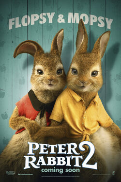 Peter Rabbit 2 [DVD] [2021]