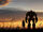 Bumblebee