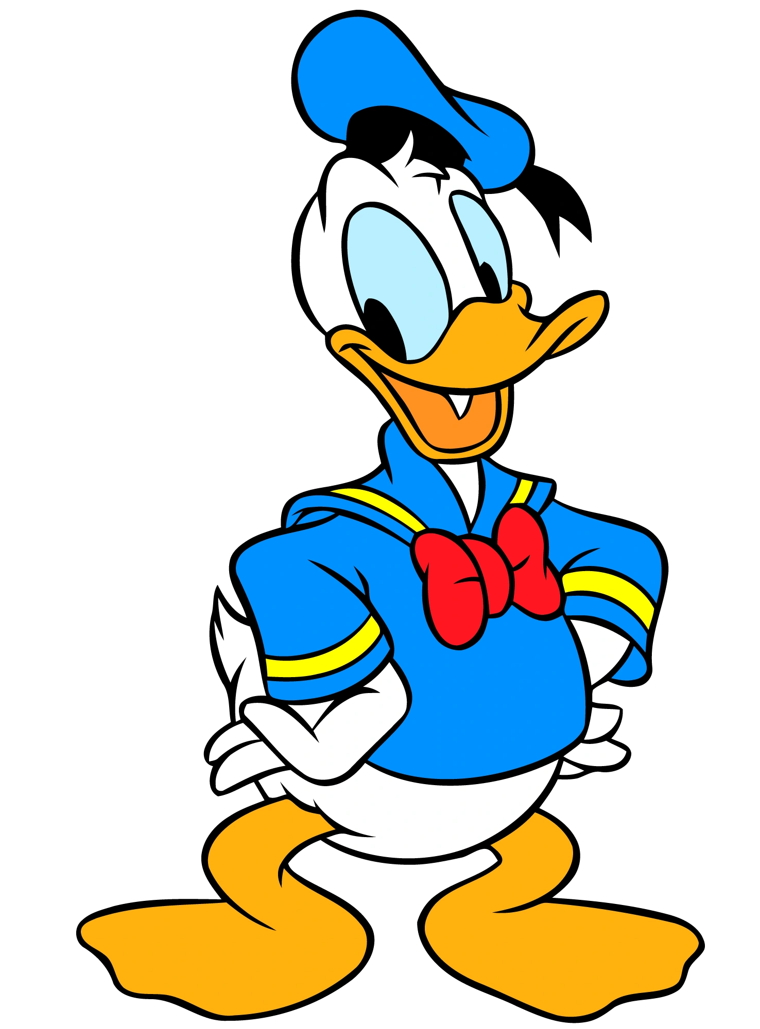 donald duck bathing suit