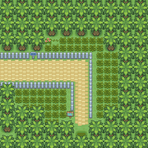 Walkthrough/Part 1, FanMade_Pokemon_Glazed_version Wiki