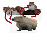 Котпибара