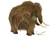 Mammuthus Creticus is the smallest species of mammoth that appeared on the island about 90,000 Years Ago.