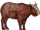 Common hornhead (SciiFii)