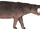 Cretan dwarf hippopotamus (SciiFii)