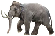 Mammuthus creticus (SciiFii)