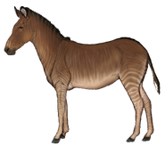 Siwalik's zebra (Equus sivalensis/namadicus)